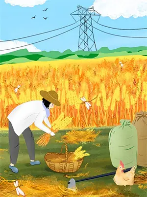 主母谁爱当谁当，她独美！(宋明庄怀音)完结版小说_最新全本小说主母谁爱当谁当，她独美！宋明庄怀音